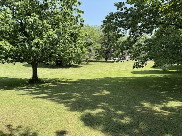 11199 Edgewood Rd, Bellevue, MI 49021 - view of grassy yard