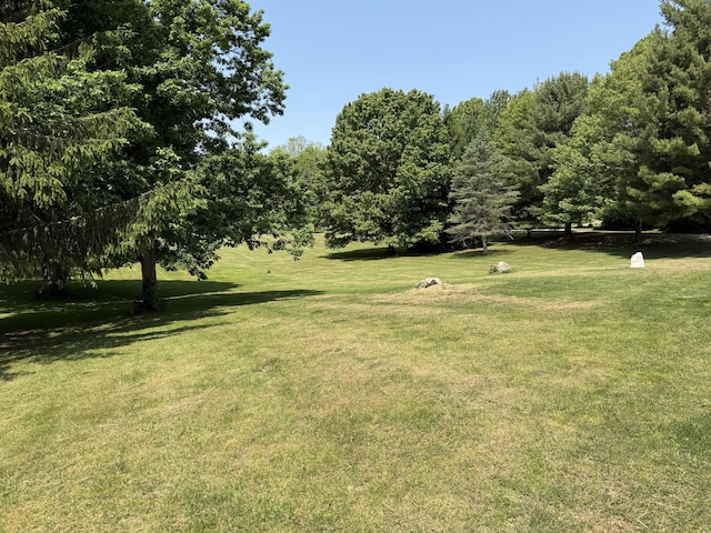 11199 Edgewood Rd, Bellevue, MI 49021 - view of green lawn