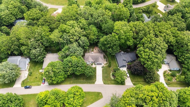 3999 Ravina Ter, Saint Joseph, MI 49085 - aerial perspective of suburban area