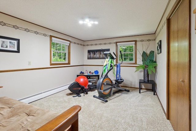 10343 N Walnut Ave, Bitely, MI 49309 - workout area with a baseboard heating unit and carpet floors