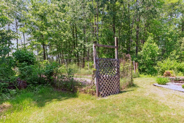 10343 N Walnut Ave, Bitely, MI 49309 - view of green lawn