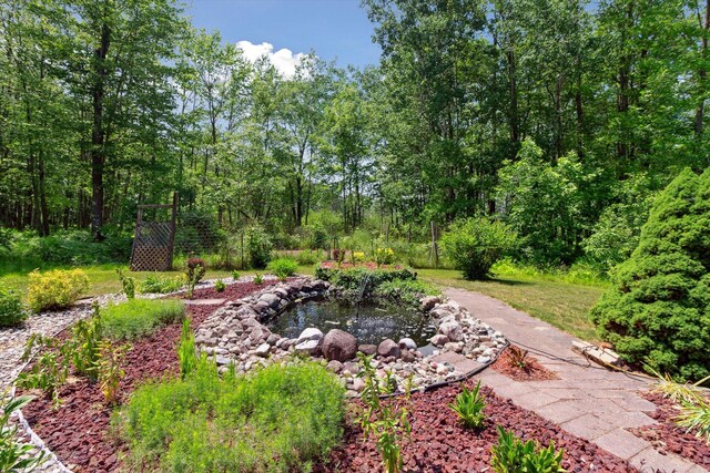 10343 N Walnut Ave, Bitely, MI 49309 - view of yard with a small pond