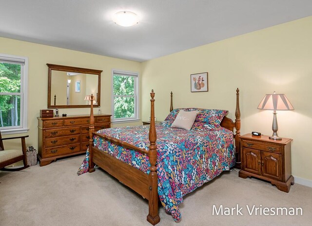 13497 Hidden Creek Ct, Grand Haven, MI 49417 - bedroom with carpet flooring