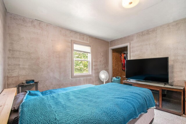 2813 Bond St, Niles, MI 49120 - bedroom with a walk in closet