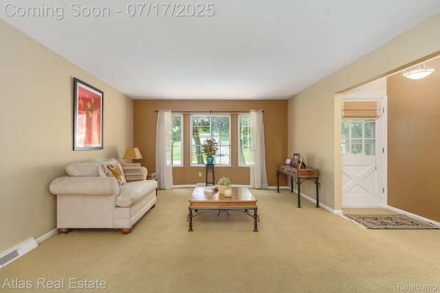 5094 Chickasaw Trl, Flushing, MI 48433 - photo 9