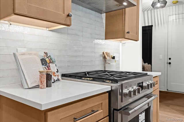 624 S Vermont Ave, Royal Oak, MI 48067 - kitchen featuring stainless steel stove, extractor fan, tasteful backsplash, light countertops, and wood finished floors