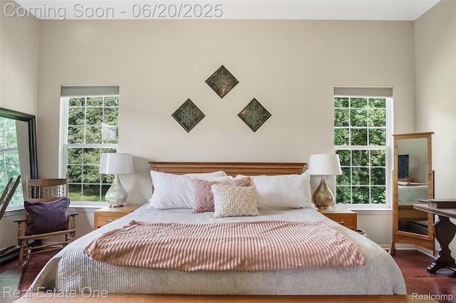 9806 Goldfinch Ct, Saline, MI 48176 - bedroom with wood finished floors and multiple windows