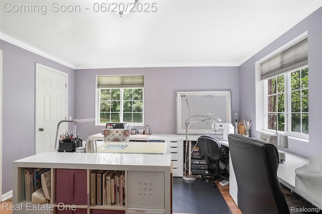9806 Goldfinch Ct, Saline, MI 48176 - office space featuring crown molding, healthy amount of natural light, and wood finished floors