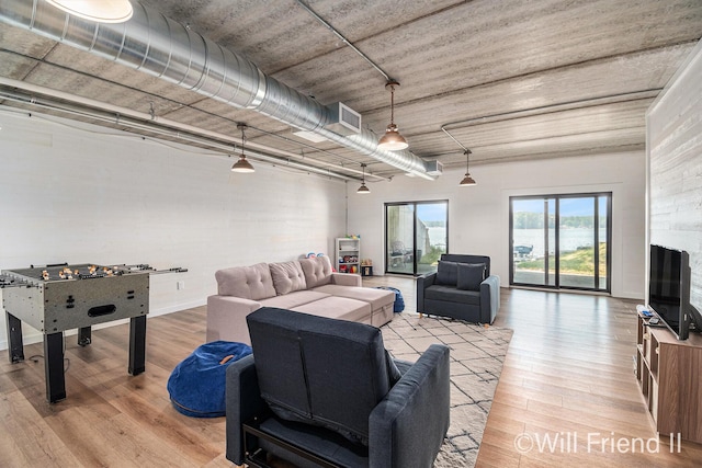 10296 S Lakeside Ridge Rd, Baldwin, MI 49304 - rec room featuring light wood-type flooring
