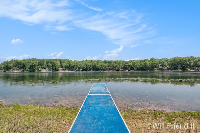 10296 S Lakeside Ridge Rd, Baldwin, MI 49304 - water view with a heavily wooded area