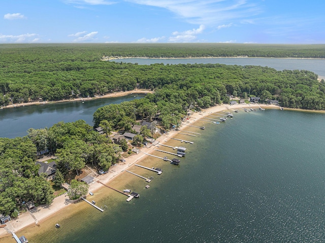 10296 S Lakeside Ridge Rd, Baldwin, MI 49304 - drone / aerial view of a heavily wooded area and a nearby body of water