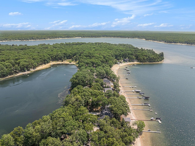 10296 S Lakeside Ridge Rd, Baldwin, MI 49304 - aerial view of a nearby body of water