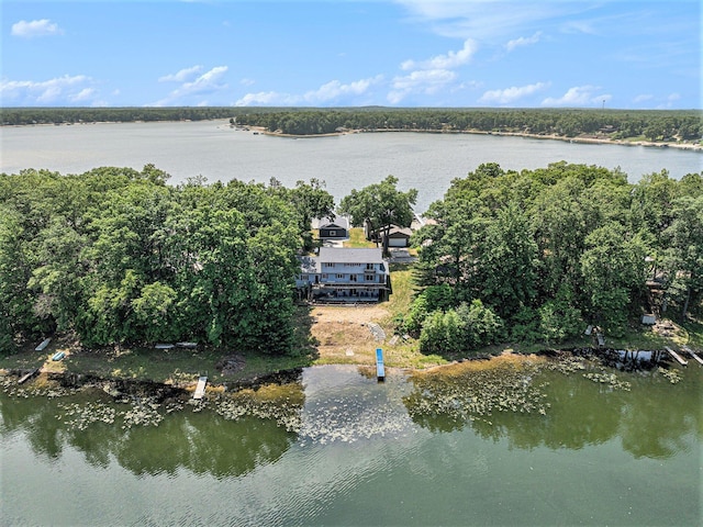 10296 S Lakeside Ridge Rd, Baldwin, MI 49304 - view from above of property featuring a nearby body of water