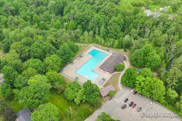 409 Rust Ave, Big Rapids, MI 49307 - bird's eye view of a pool area and a forest