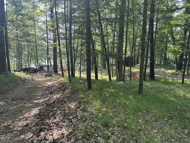 9572 S Oxeye Ave, Baldwin, MI 49304 - photo 3