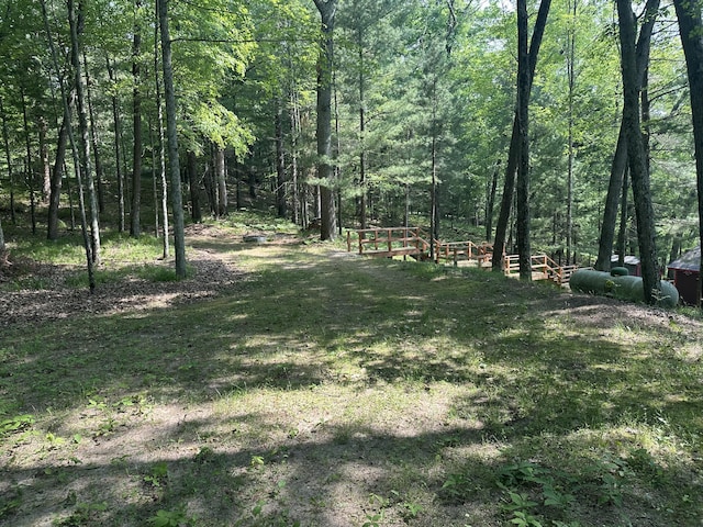9572 S Oxeye Ave, Baldwin, MI 49304 - photo 19
