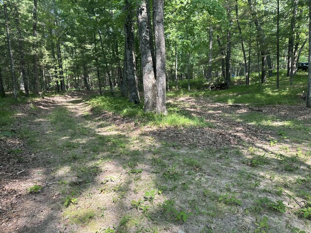 9572 S Oxeye Ave, Baldwin, MI 49304 - photo 20