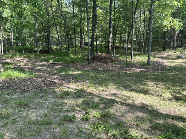 9572 S Oxeye Ave, Baldwin, MI 49304 - photo 21