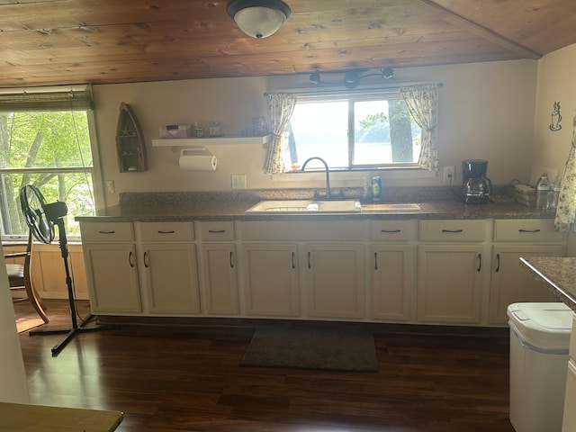 9572 S Oxeye Ave, Baldwin, MI 49304 - photo 30