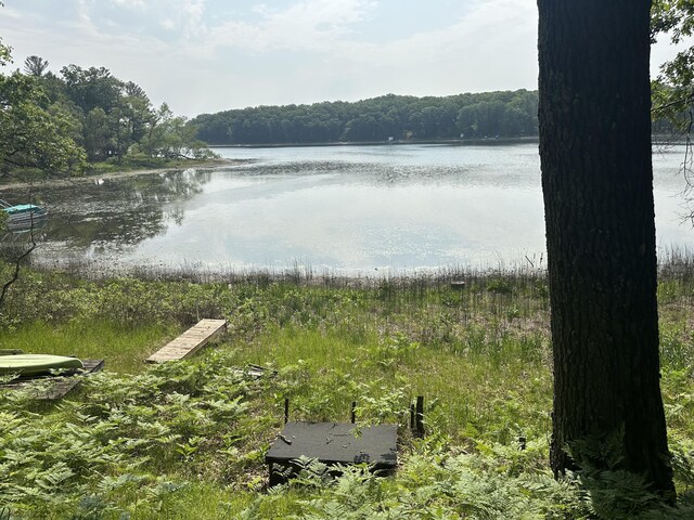 9572 S Oxeye Ave, Baldwin, MI 49304 - photo 22