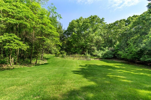 1995 Shining Tree Dr NE, Belmont, MI 49306 - view of green lawn featuring a wooded view