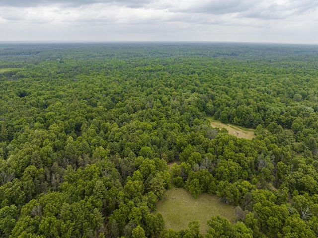 8114 E 72nd St # 2, Newaygo, MI 49337 - drone / aerial view of a heavily wooded area