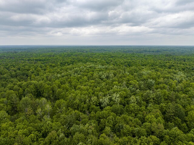 8114 E 72nd St # 2, Newaygo, MI 49337 - aerial view of a heavily wooded area