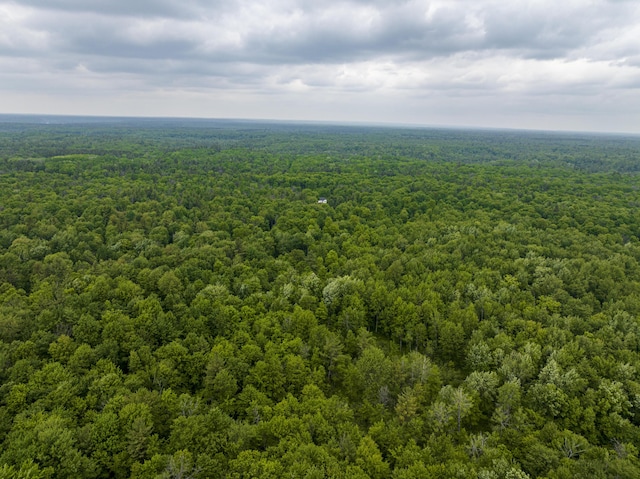 8114 E 72nd St # 2, Newaygo, MI 49337 - bird's eye view of a heavily wooded area