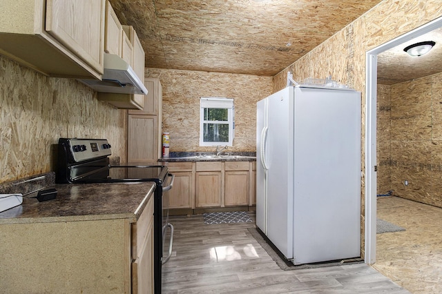 8114 E 72nd St # 2, Newaygo, MI 49337 - kitchen featuring stainless steel electric range oven, freestanding refrigerator, under cabinet range hood, dark countertops, and light wood-type flooring
