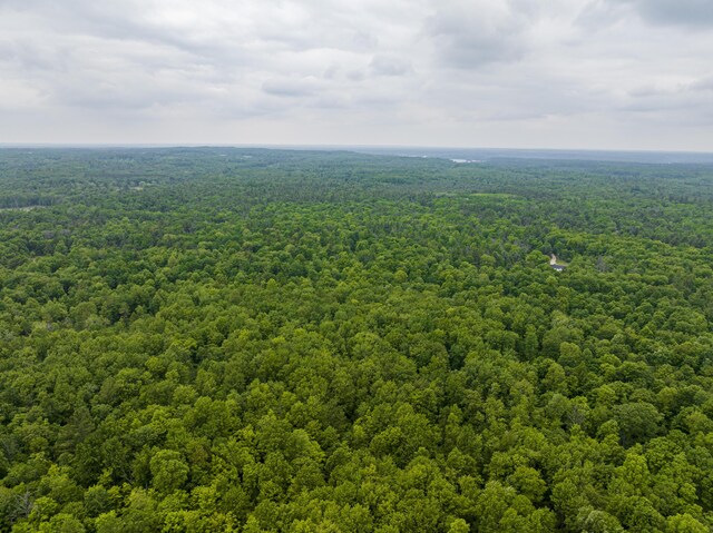 8114 E 72nd St # 2, Newaygo, MI 49337 - aerial view of a forest