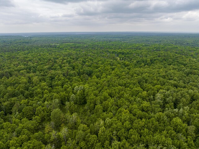 8114 E 72nd St # 2, Newaygo, MI 49337 - drone / aerial view of a forest