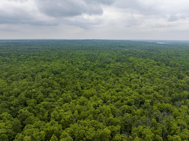 8114 E 72nd St # 2, Newaygo, MI 49337 - aerial view of a forest