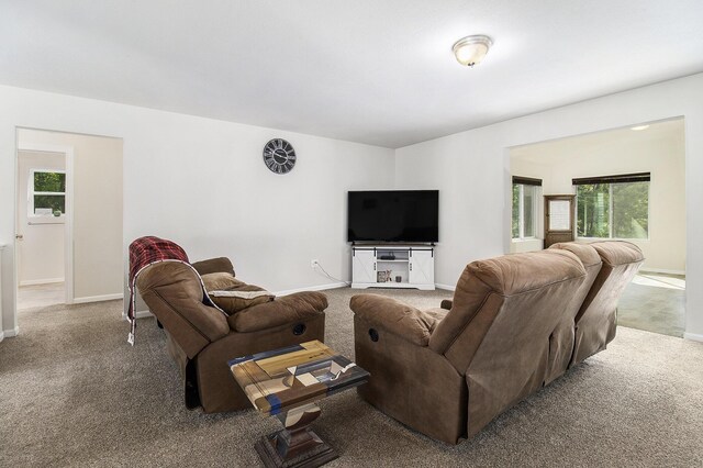 8114 E 72nd St # 2, Newaygo, MI 49337 - living room featuring carpet and plenty of natural light