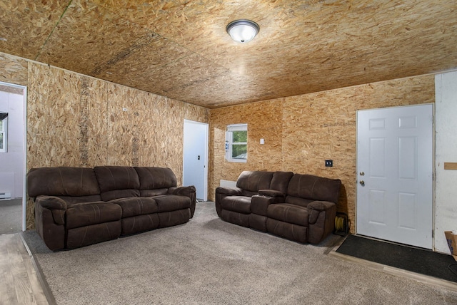 8114 E 72nd St # 2, Newaygo, MI 49337 - living room with carpet floors
