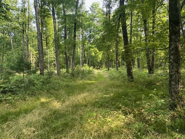 8114 E 72nd St # 2, Newaygo, MI 49337 - view of wooded area