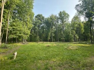 8114 E 72nd St # 2, Newaygo, MI 49337 - view of nature