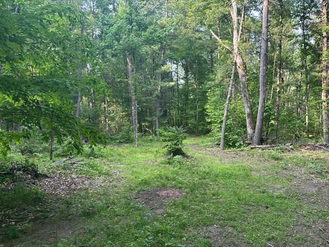 8114 E 72nd St # 2, Newaygo, MI 49337 - view of tree filled area
