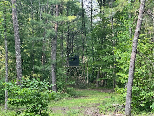 8114 E 72nd St # 2, Newaygo, MI 49337 - view of tree filled area