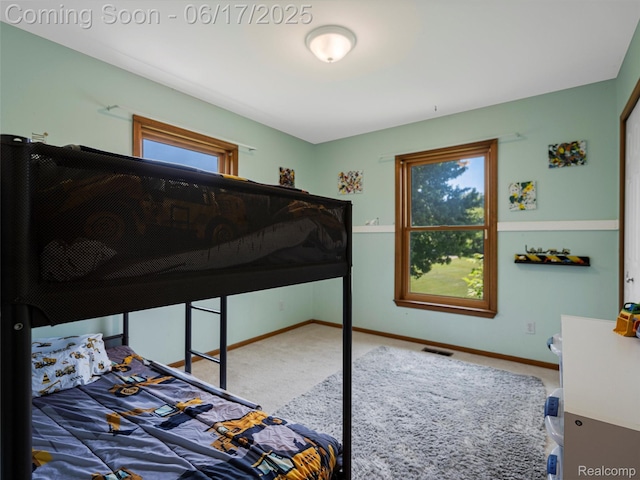 2520 Chilson Meadows Ln, Howell, MI 48843 - bedroom with carpet and multiple windows