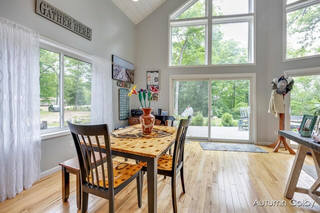 5980 Division St, Newaygo, MI 49337 - dining room with high vaulted ceiling and light wood finished floors