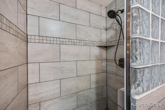 5980 Division St, Newaygo, MI 49337 - bathroom view of a tile shower