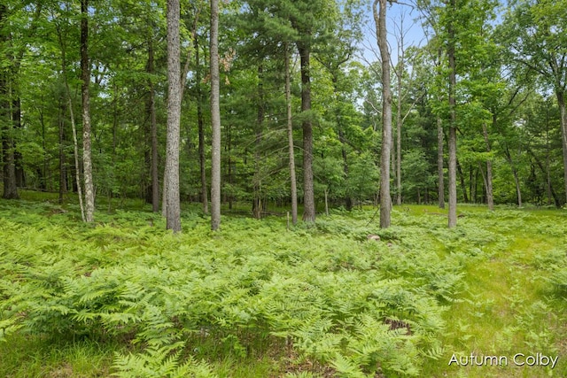 5980 Division St, Newaygo, MI 49337 - view of woods