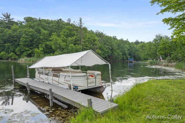 5980 Division St, Newaygo, MI 49337 - dock area featuring a view of trees and a water view
