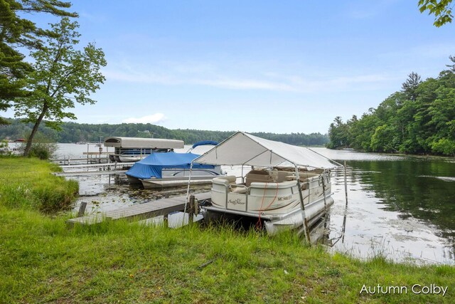 5980 Division St, Newaygo, MI 49337 - dock area featuring a water view, boat lift, and a wooded view