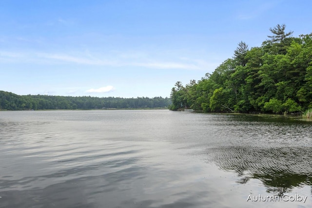 5980 Division St, Newaygo, MI 49337 - water view featuring a heavily wooded area