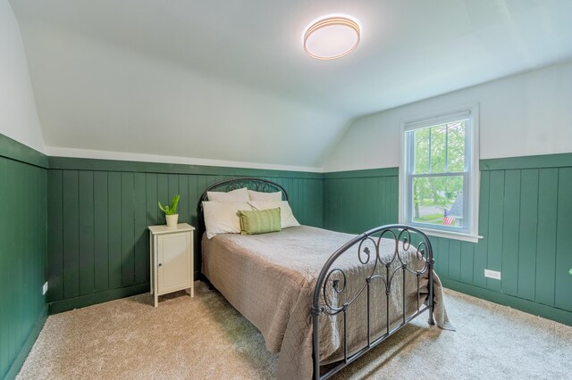 1303 Homecrest Ave, Kalamazoo, MI 49001 - bedroom featuring lofted ceiling, a wainscoted wall, and carpet flooring