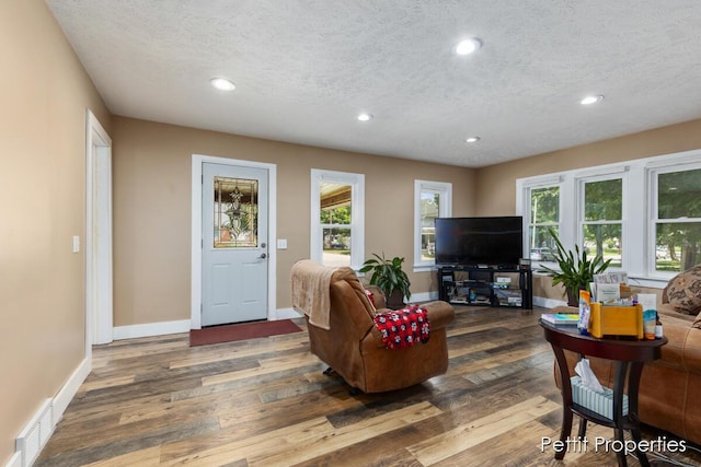 340 E Main St SE, Caledonia, MI 49316 - living room featuring wood finished floors, recessed lighting, and a textured ceiling
