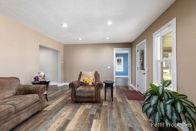 340 E Main St SE, Caledonia, MI 49316 - living room with dark wood-style flooring and recessed lighting