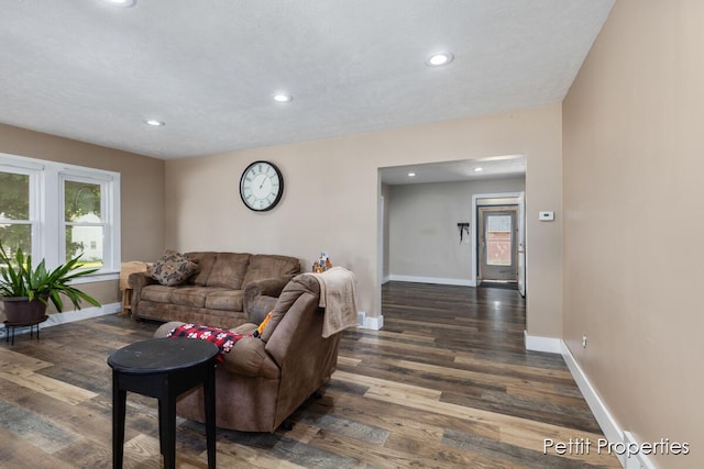 340 E Main St SE, Caledonia, MI 49316 - living room featuring wood finished floors and recessed lighting