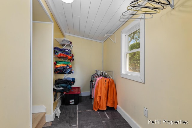 340 E Main St SE, Caledonia, MI 49316 - spacious closet with dark carpet